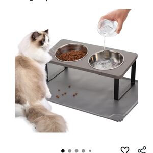 Elevated Stainless Steal cat Bowl Feeder